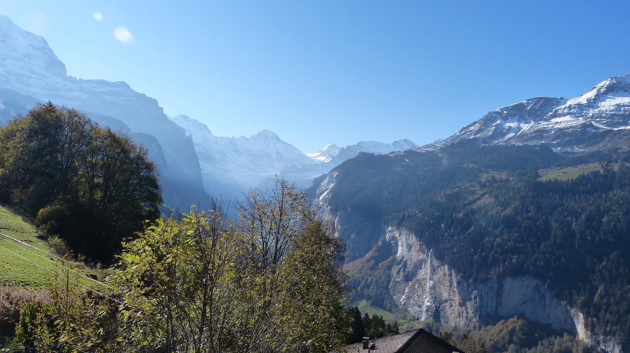 Chalet Bergkristall Венген Экстерьер фото